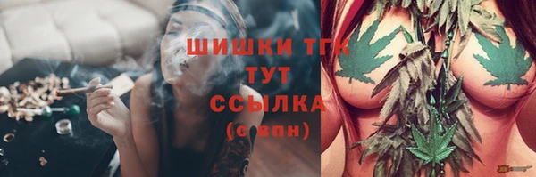 ГАЛЛЮЦИНОГЕННЫЕ ГРИБЫ Гусь-Хрустальный