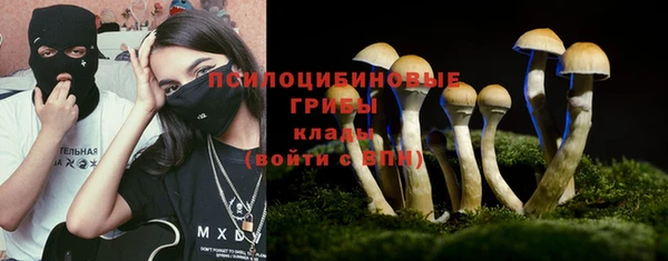 сатива Дмитровск