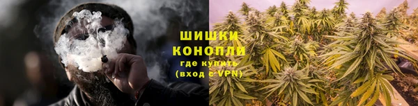 прущая мука Гусев