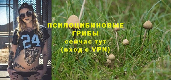 ГАЛЛЮЦИНОГЕННЫЕ ГРИБЫ Гусь-Хрустальный