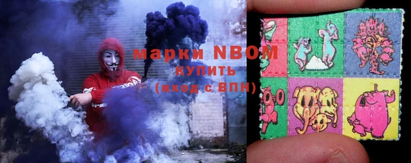 амф Гусиноозёрск