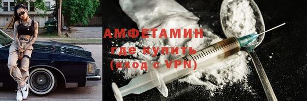 амф Гусиноозёрск
